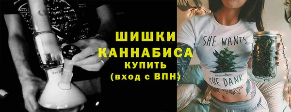 шишки Вязники