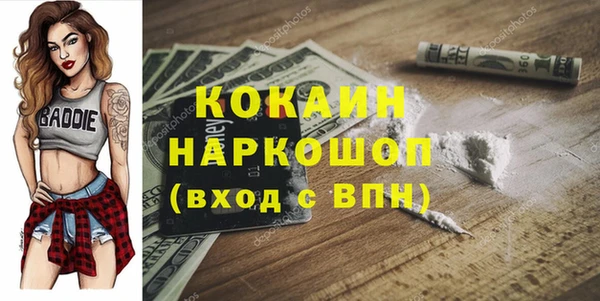 шишки Вязники