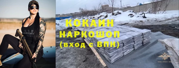 шишки Вязники