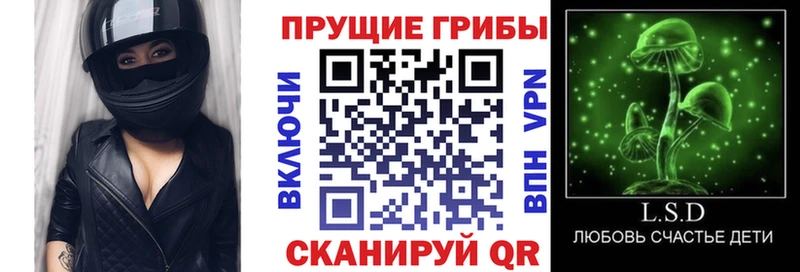 Купить где  Козловка  Галлюциногенные грибы Magic Shrooms 